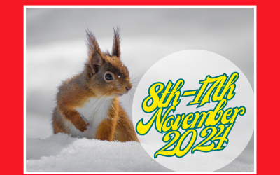 Join Our Winter Auction to Help Protect Our Bushy-Tailed Friends!