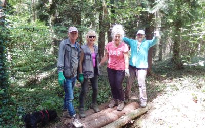 Woodland Update – May 2025