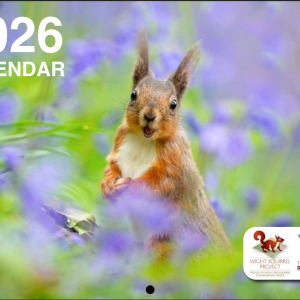 2026 Isle of Wight Red Squirrel Trust Calendar