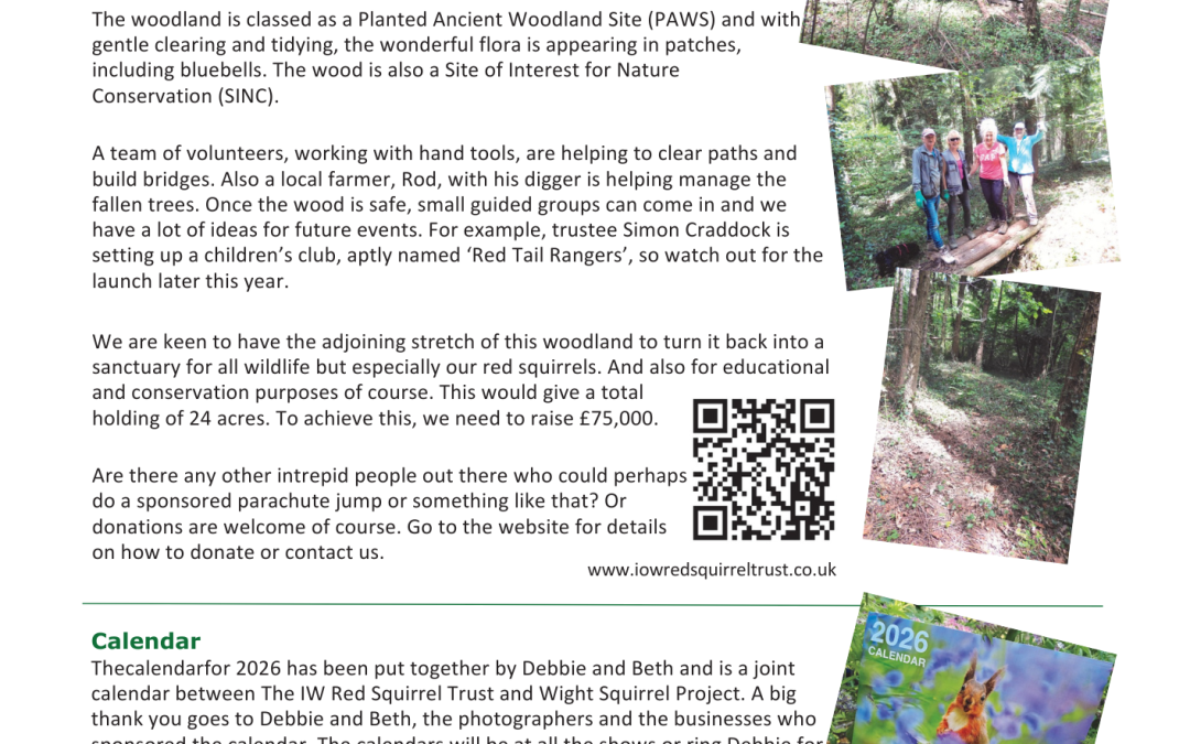 2025 Summer Bulletin For The Isle of Wight Red Squirrel Trust