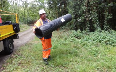 WOODLAND UPADATE No. 2 – JULY 2025
