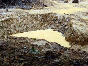 Close-up of rainwater pooling in the newly dug pond at Howes Wood, showing the first signs of it holding water naturally.