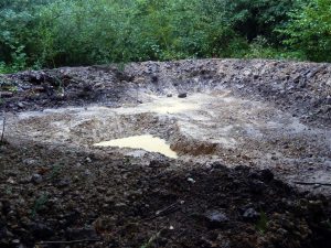 A newly dug pond in Howes Wood, Isle of Wight, starting to collect rainwater among the woodland trees.