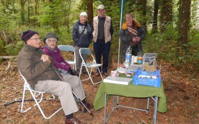 A Wonderful Red Squirrel Awareness Week at Howes Wood 🌳🐿️