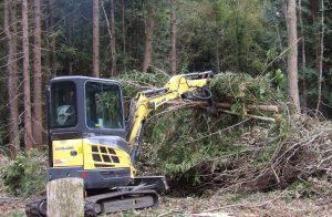 Digger lifting branches and clearing conifer brash as part of woodland restoration for redsquirrel habitat on the Isle of Wight.