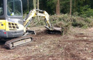 Yellow digger clearing branches and debris from Howes Wood to prepare ground for redsquirrel woodland restoration.