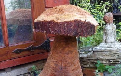 Woodland Transformation and a Touch of Woodland Art at Howes Wood