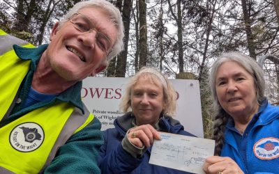 Community Support Boosts Woodland Conservation on the Isle of Wight