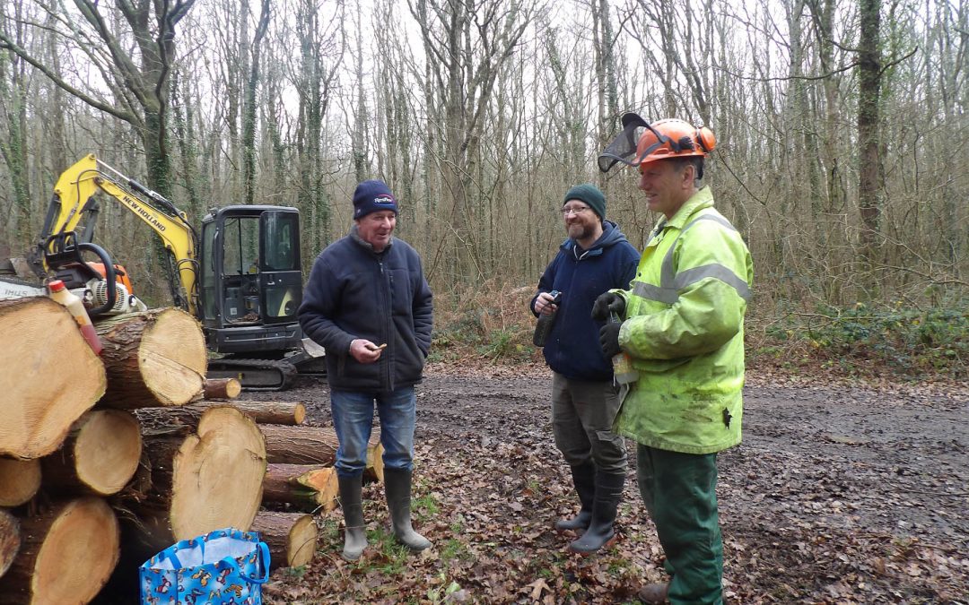 January Woodland Work Update