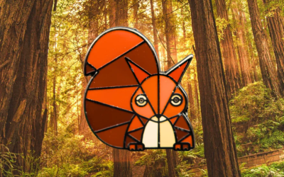 Wear Your Wild: Red Squirrel Badges Supporting Conservation on the Isle of Wight