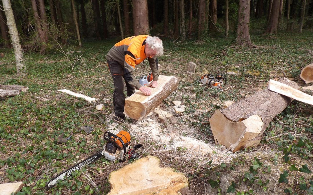Jim the Squirrel: Paul Sivell’s Chainsaw Carving Born from Our Own Western Red Cedar
