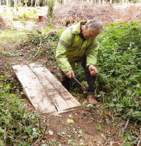 A volunteer in a high-visibility jacket hammering down a wooden plank bridge laid across a woodland ditch.