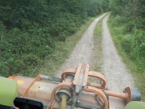 View from inside a tractor cab looking down a gravel woodland track flanked by dense green vegetation, with an orange flail mower attachment visible in the foreground.