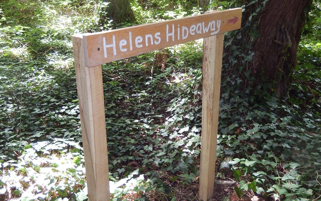 Getting Around Howes Wood: Meet Our New “Road Signs”