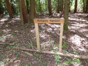 Wooden signpost reading "Richard's Ramble" positioned between trees on a leaf-covered woodland floor, with sunlight filtering through the canopy.