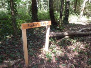Hand-painted wooden signpost reading "Sophie's Shortcut" standing among trees and ivy in Howes Wood, with a fallen branch in the background.