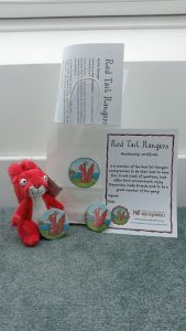Red Tail Rangers Joining pack 1